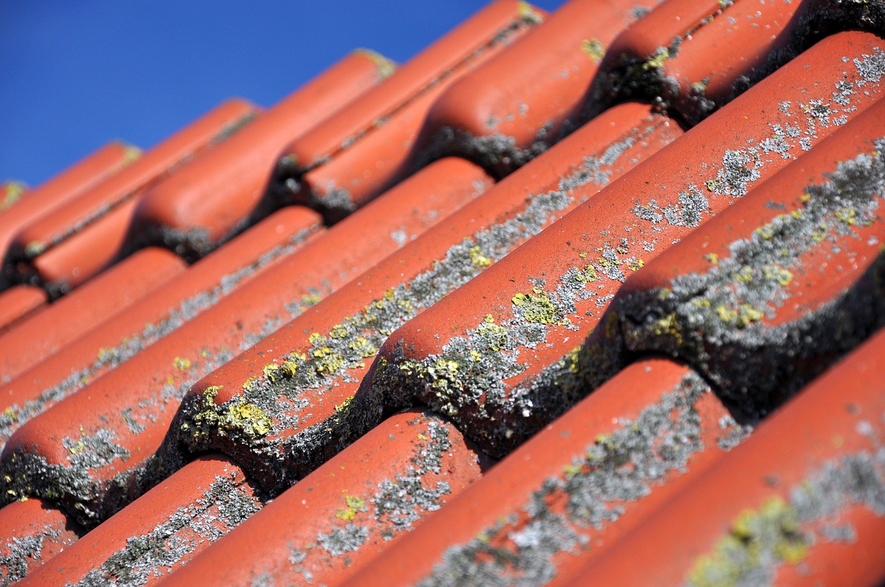 Finding the Best Roof Cleaning In Boca Raton